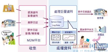 大數(shù)據(jù)處理技術(shù)的實戰(zhàn)應(yīng)用與價值體現(xiàn)